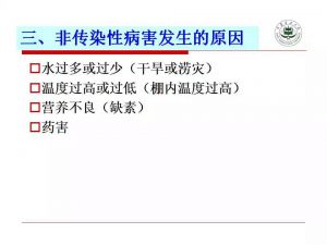 瓜类主要病害及解决方案
瓜类主要病害及解决方案