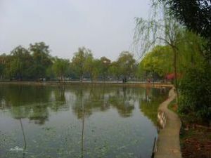 菱湖公园